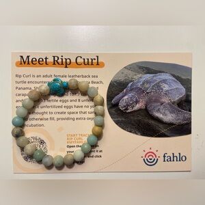 Fahlo Amazonite Beaded Stretch Bracelet - Multi-Color